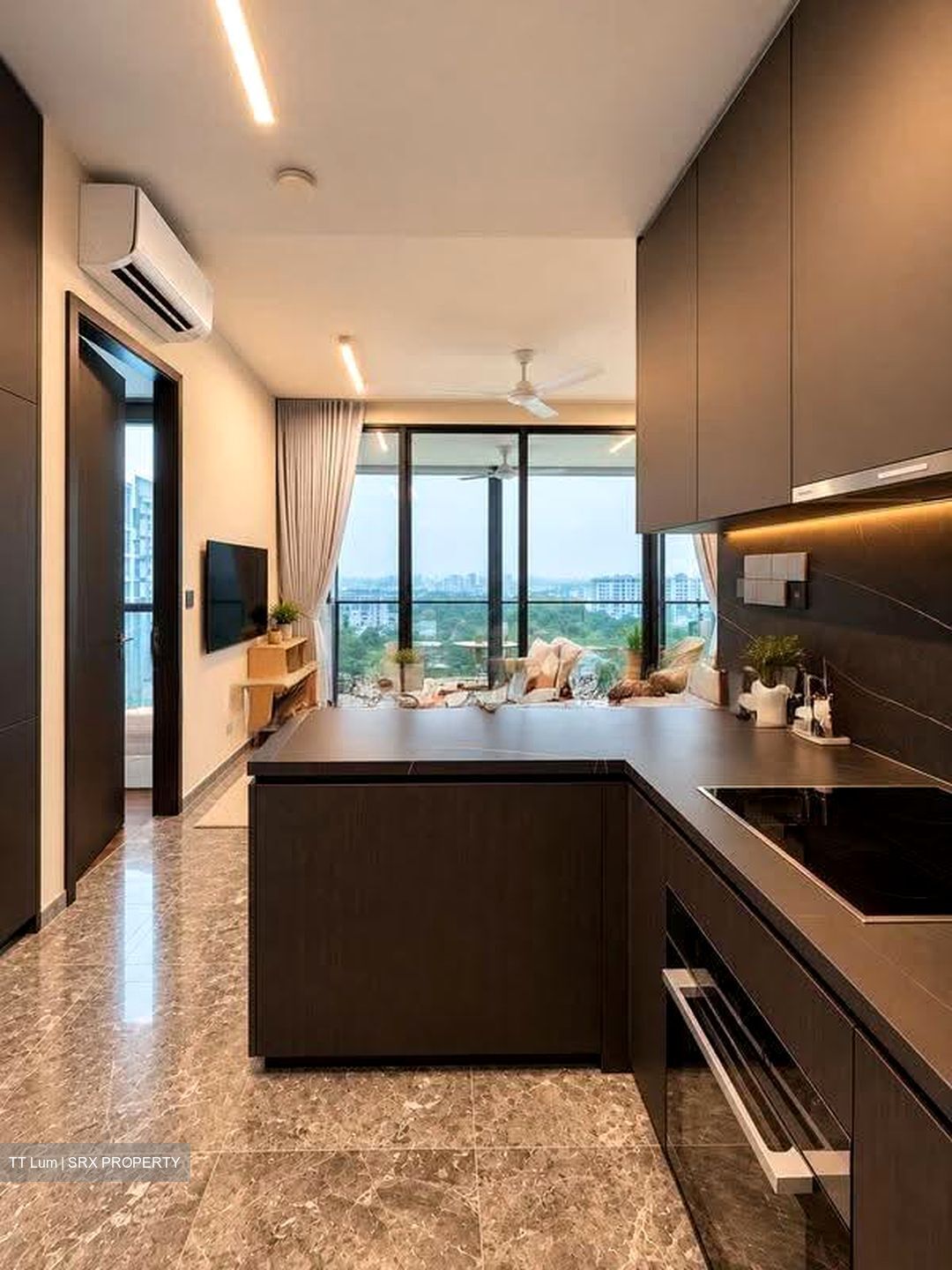 Hyll On Holland (D10), Condominium #631870111